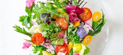 大船駅周辺の美味しいランチ29店 おしゃれ人気店 絶品ランチグルメ 21年 一休 Comレストラン 大船駅周辺の美味しいランチ29店 おしゃれ人気店 絶品ランチグルメ 21年 一休 Comレストラン