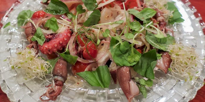 千里のフレンチが楽しめるおすすめレストラントップ2 一休 Comレストラン 千里のフレンチが楽しめるおすすめレストラントップ2 一休 Comレストラン