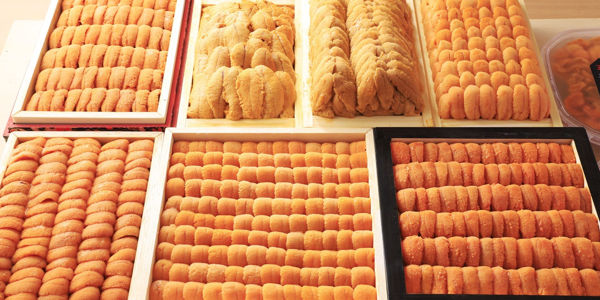 新宿 鮨 栞庵 やましろ 東口店 - 画像5