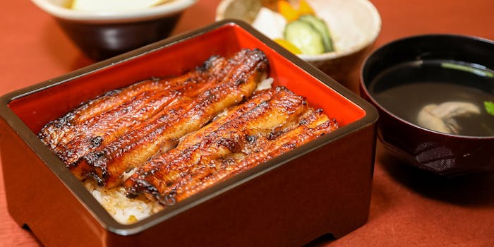 大久保のうなぎが楽しめるおすすめレストラントップ1 一休 Comレストラン 大久保のうなぎが楽しめるおすすめレストラントップ1 一休 Comレストラン