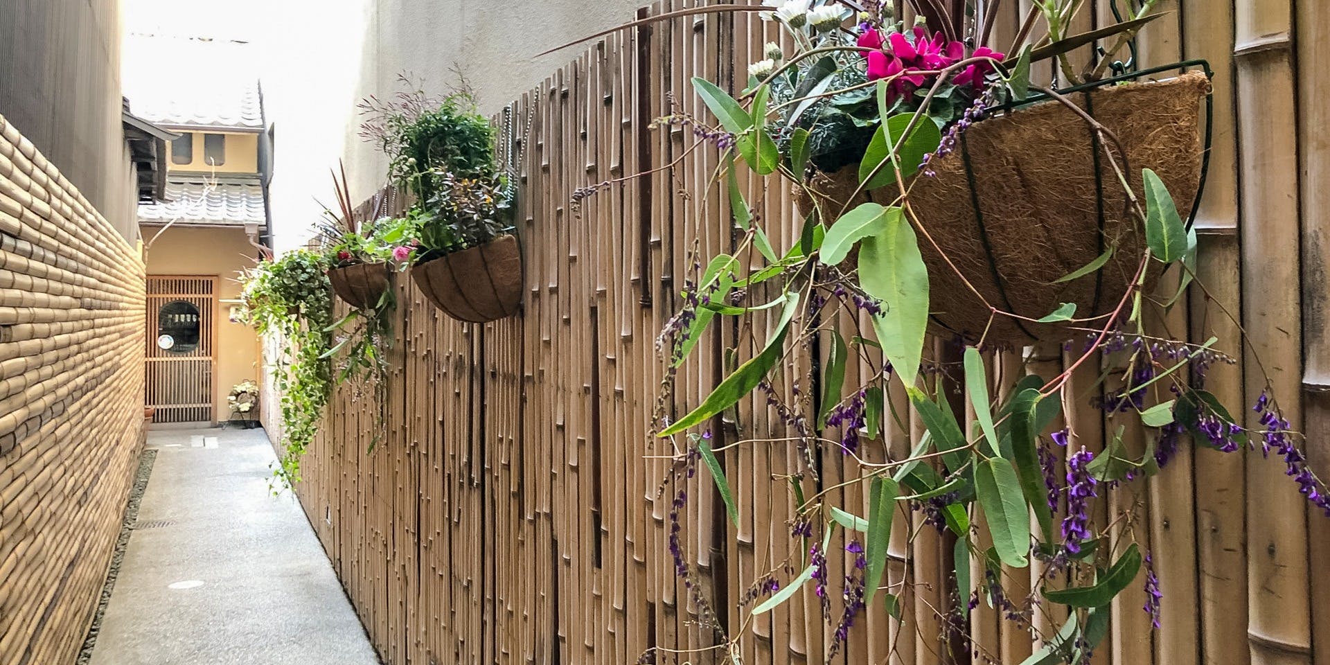 シェモア - 画像2