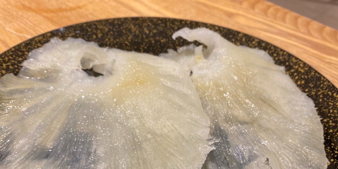 水炊き とよみつ 銀座店