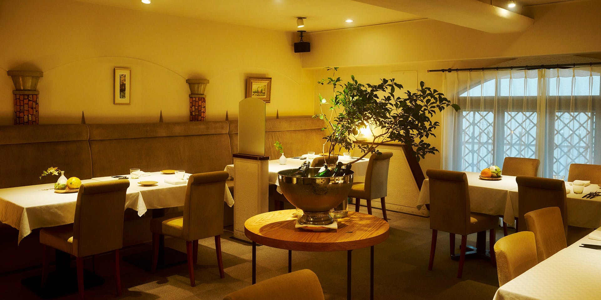 デルフィーナ - 画像2