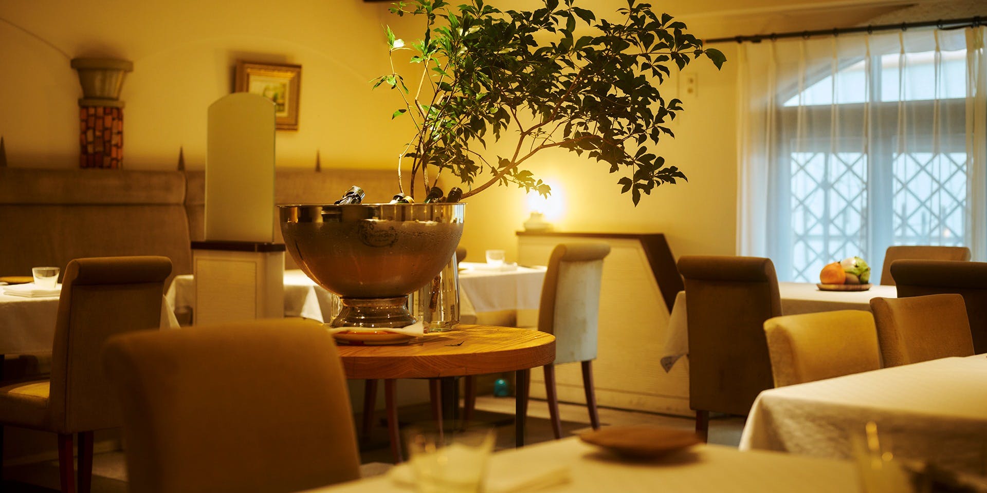 デルフィーナ - 画像3