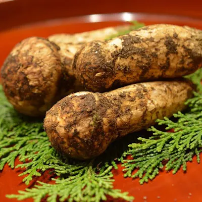 食材へのこだわり