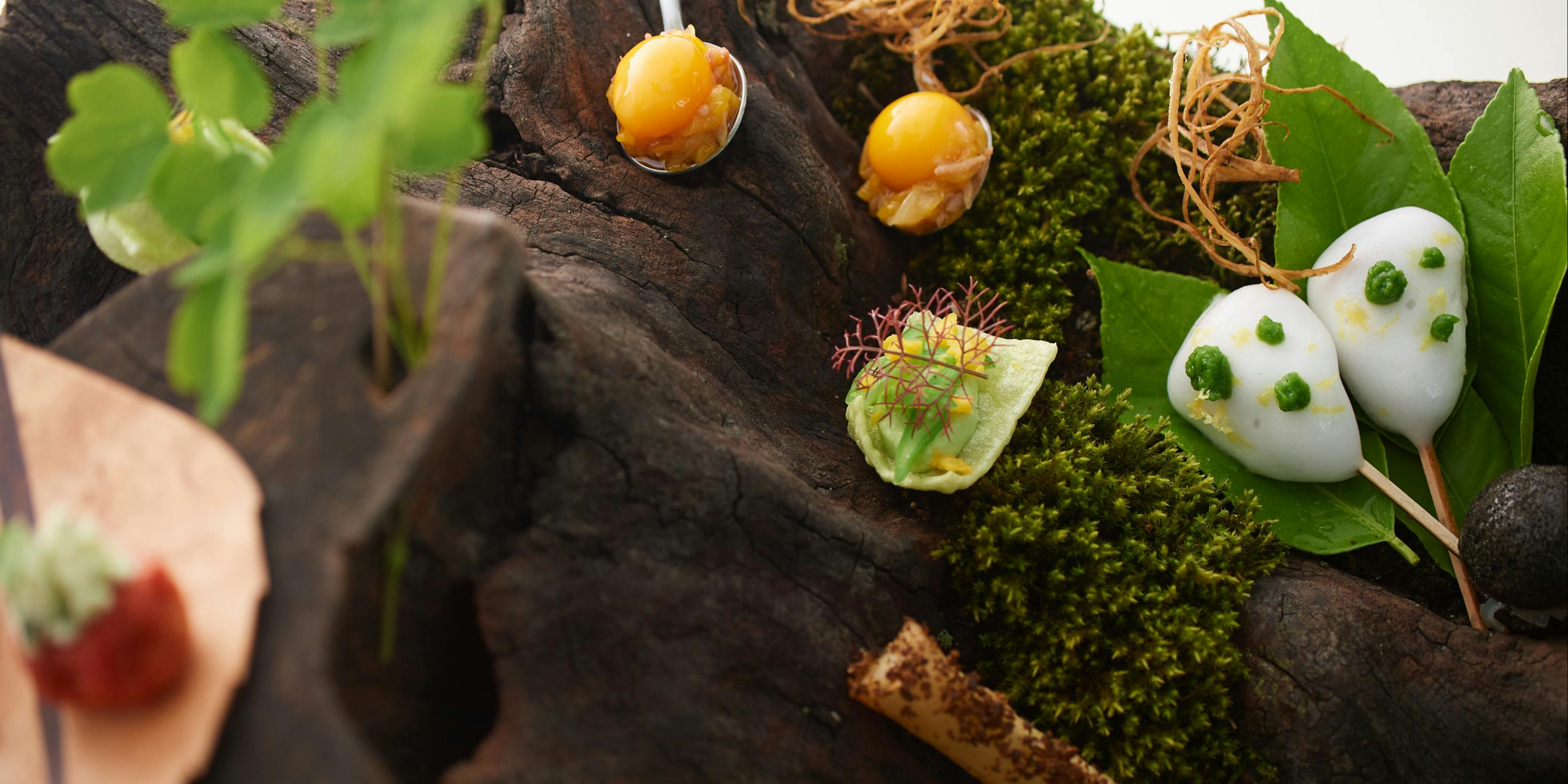 SETTAN（セッタン）