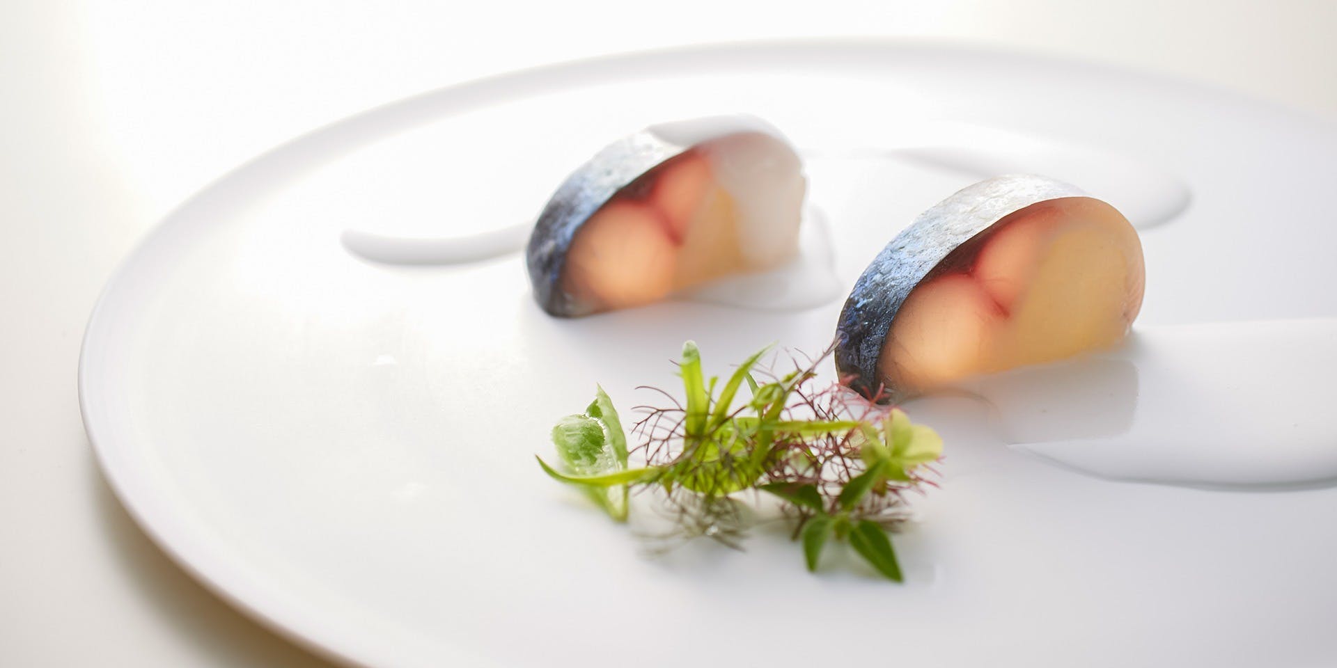 SETTAN（セッタン）