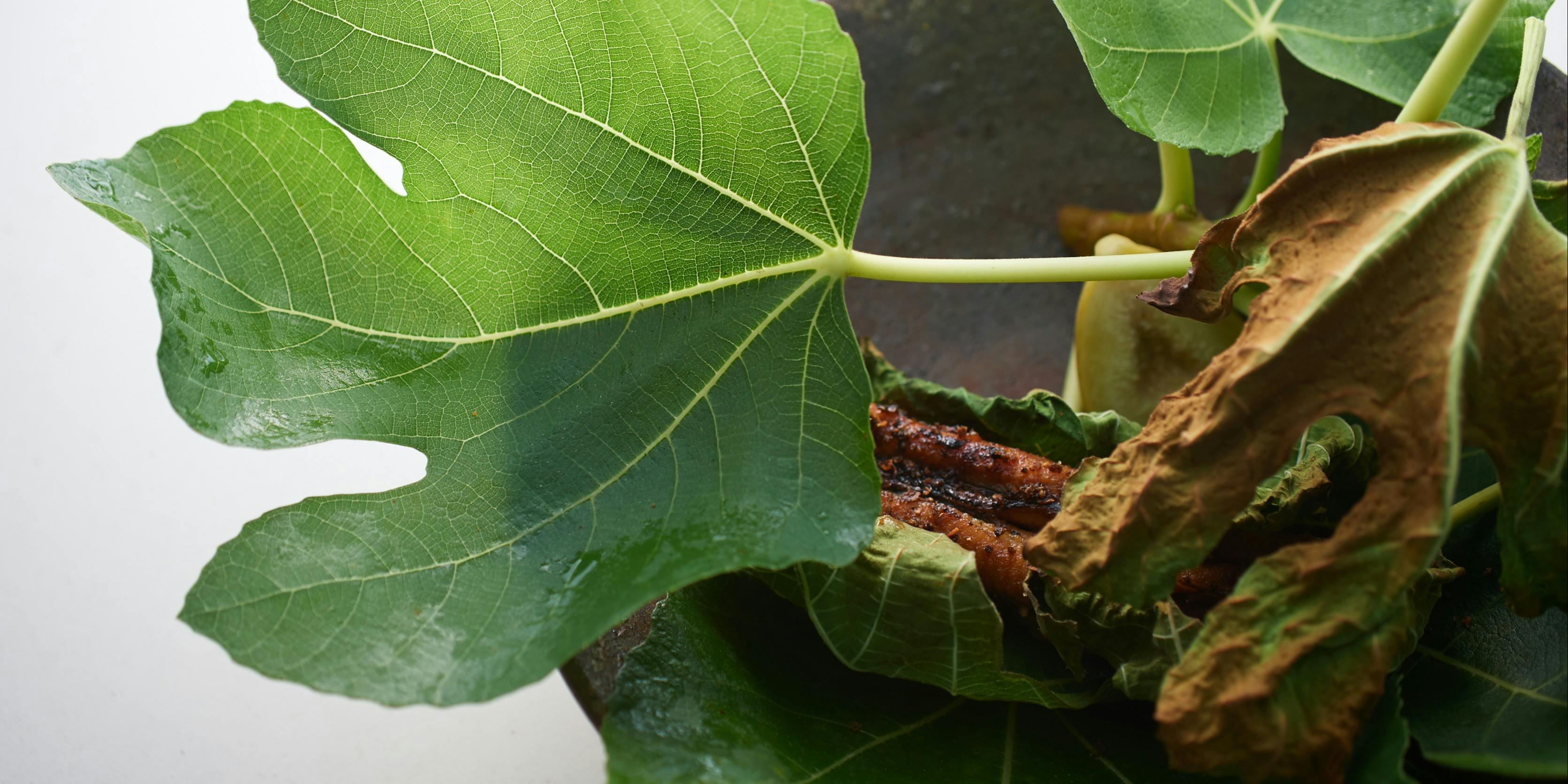 SETTAN（セッタン）