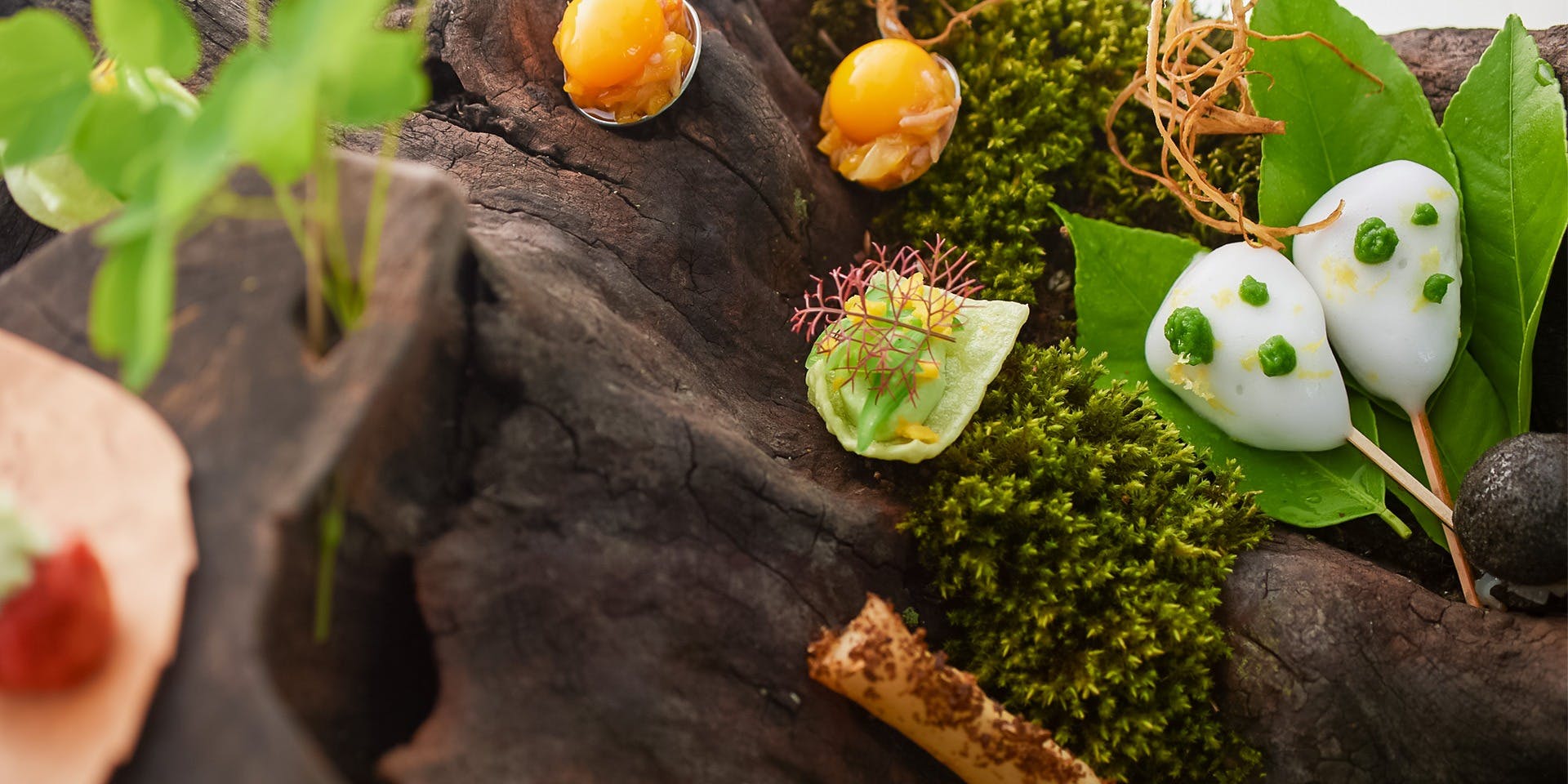 SETTAN（セッタン）