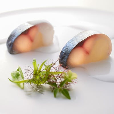 素材ありのままを愉しむフレンチ