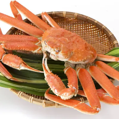 旬の食材を使った会席料理