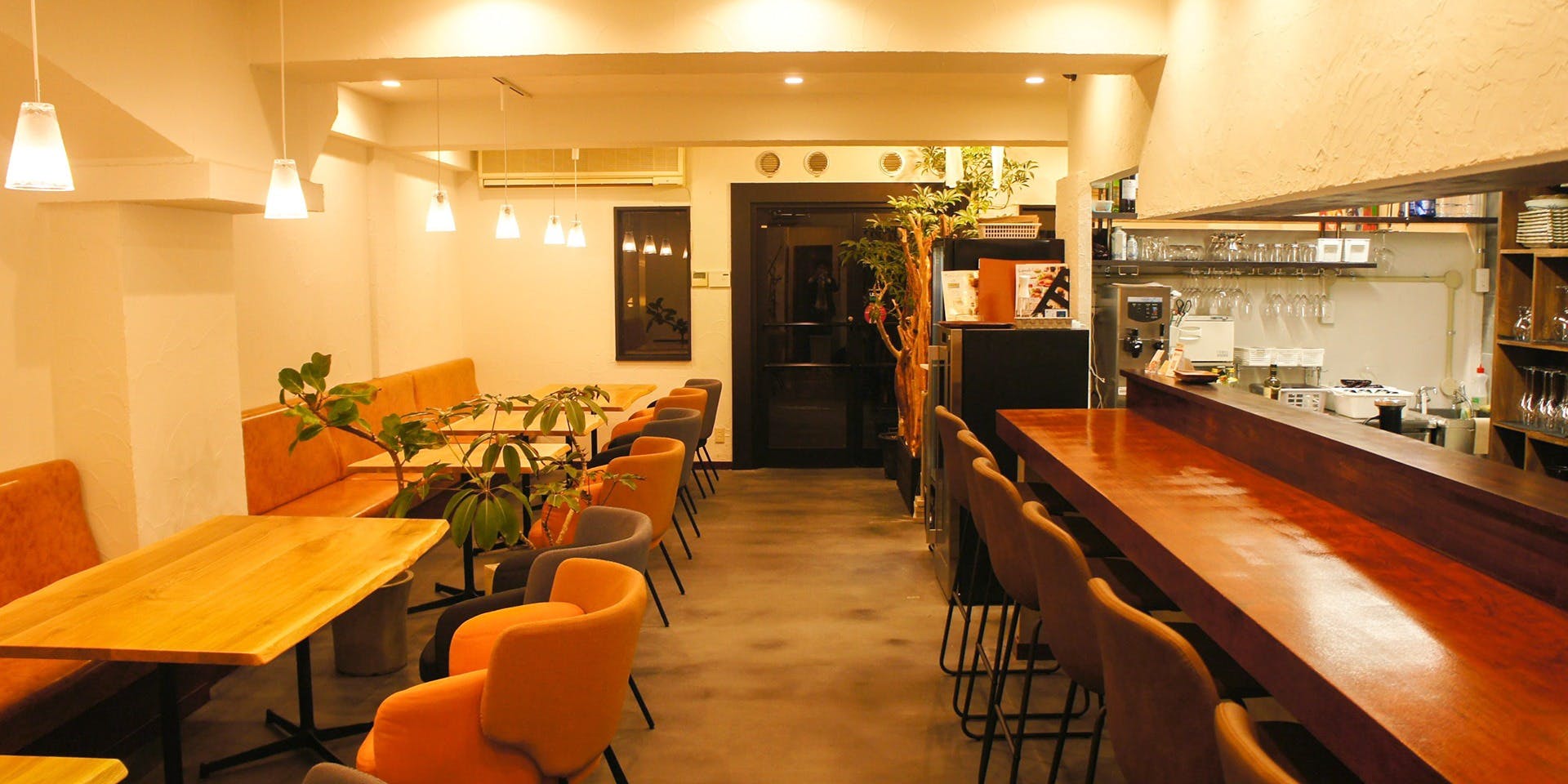 ニク サングルマン 2枚目