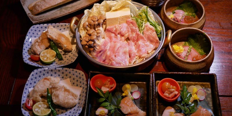 【しゃも鍋コース】先着順で軍鶏しゃぶ付！しゃも鍋、もも肉たたき、天ぷらなど全5品