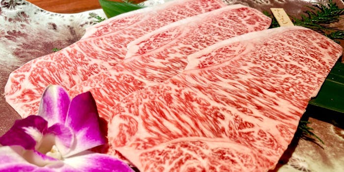 代々木駅周辺の焼肉が楽しめるおすすめレストラントップ4 一休 Comレストラン 代々木駅周辺の焼肉が楽しめるおすすめレストラントップ4 一休 Comレストラン