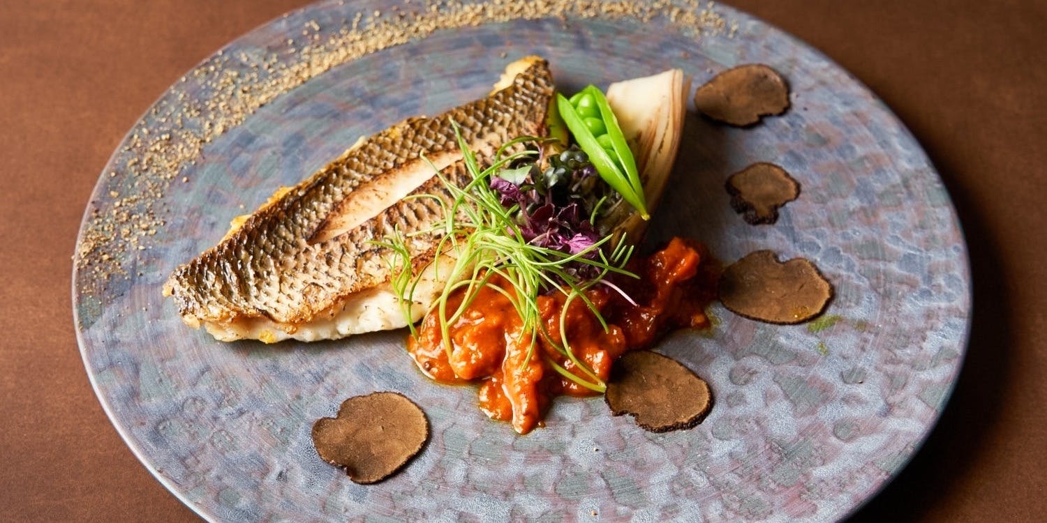 SEABIRD COLONY 銀座本店