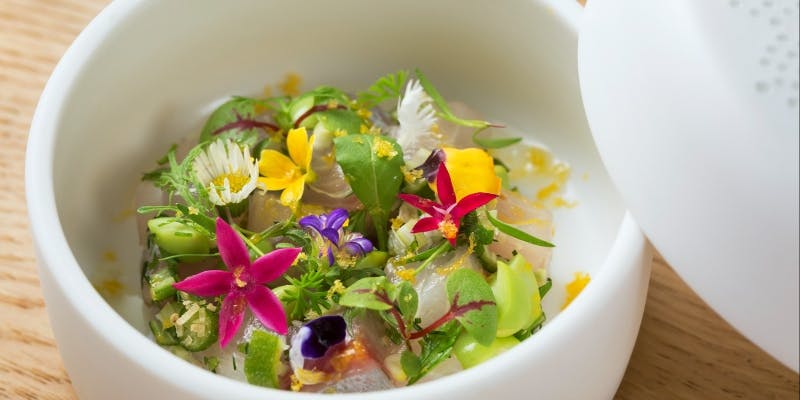 【年末スペシャルコース】