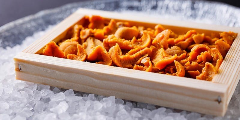 リストランテ・スコーラ（ristorante scuola）