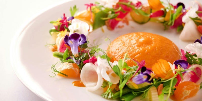 【シンフォニー・オブ・ウェルネス　ベジタリアンランチ】野菜や豆を中心としたコース＋1ドリンク付き