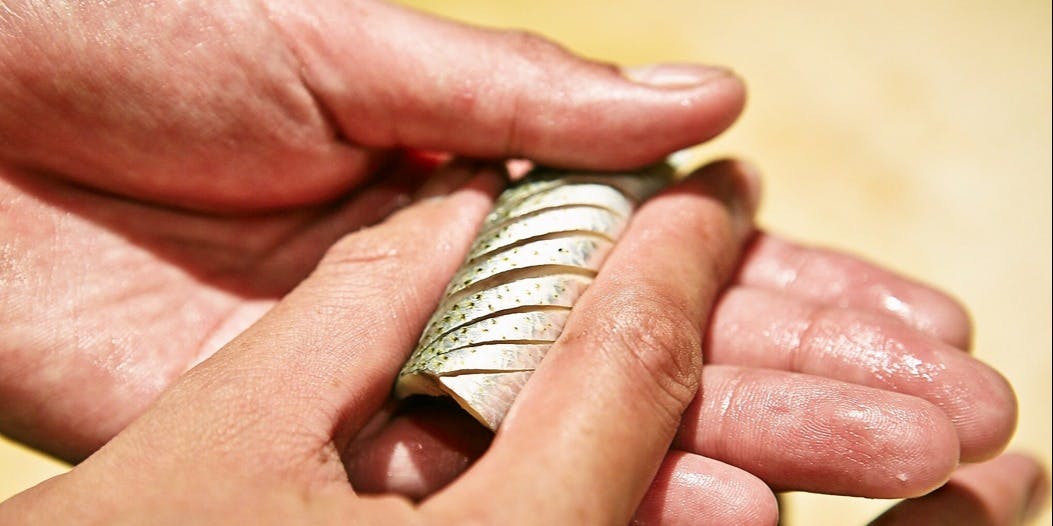 八重洲 鮨 海味 - 画像12