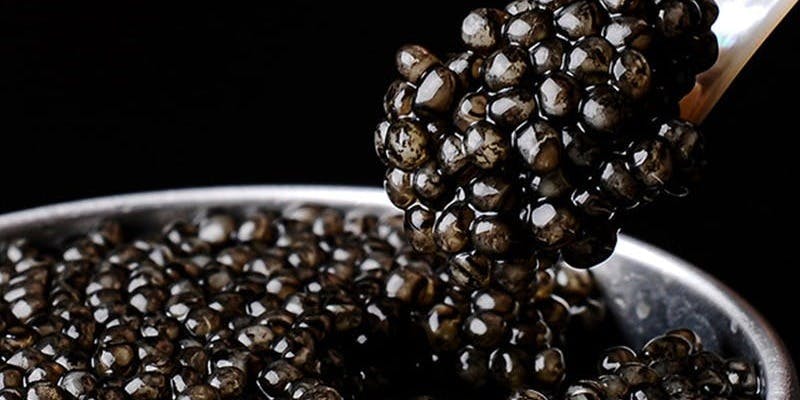 八重洲 鮨 海味 - 画像11