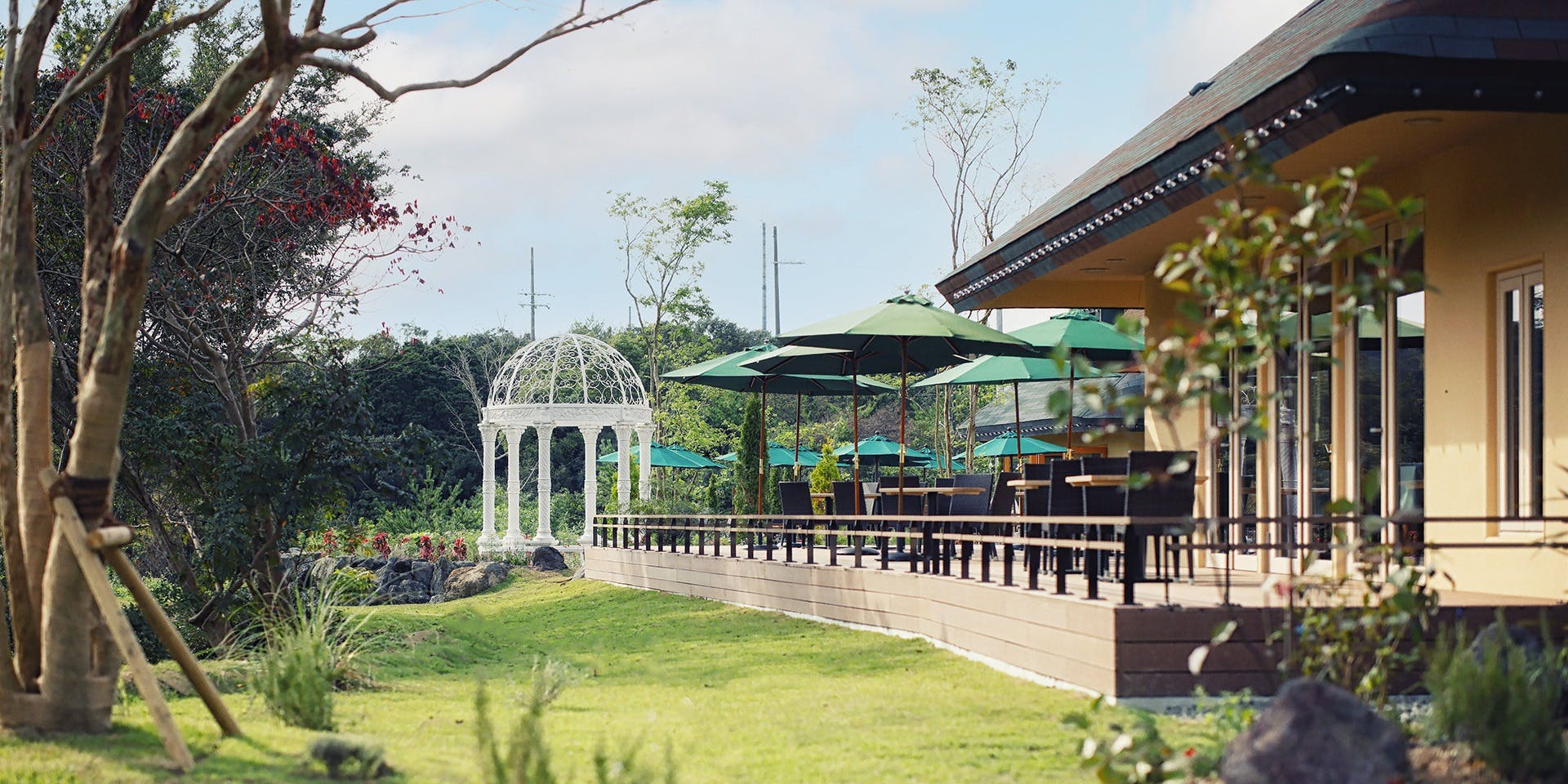 オーベルジュフレンチの森「Grand Baobab」 - 画像4