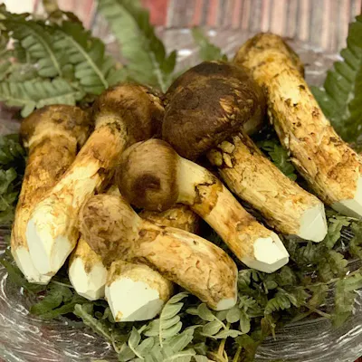 こだわりの料理