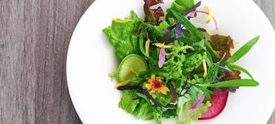 鎌倉ランチ22 おすすめ 絶品お昼ごはん28選 一休 Comレストラン 鎌倉ランチ22 おすすめ 絶品お昼ごはん28選 一休 Comレストラン