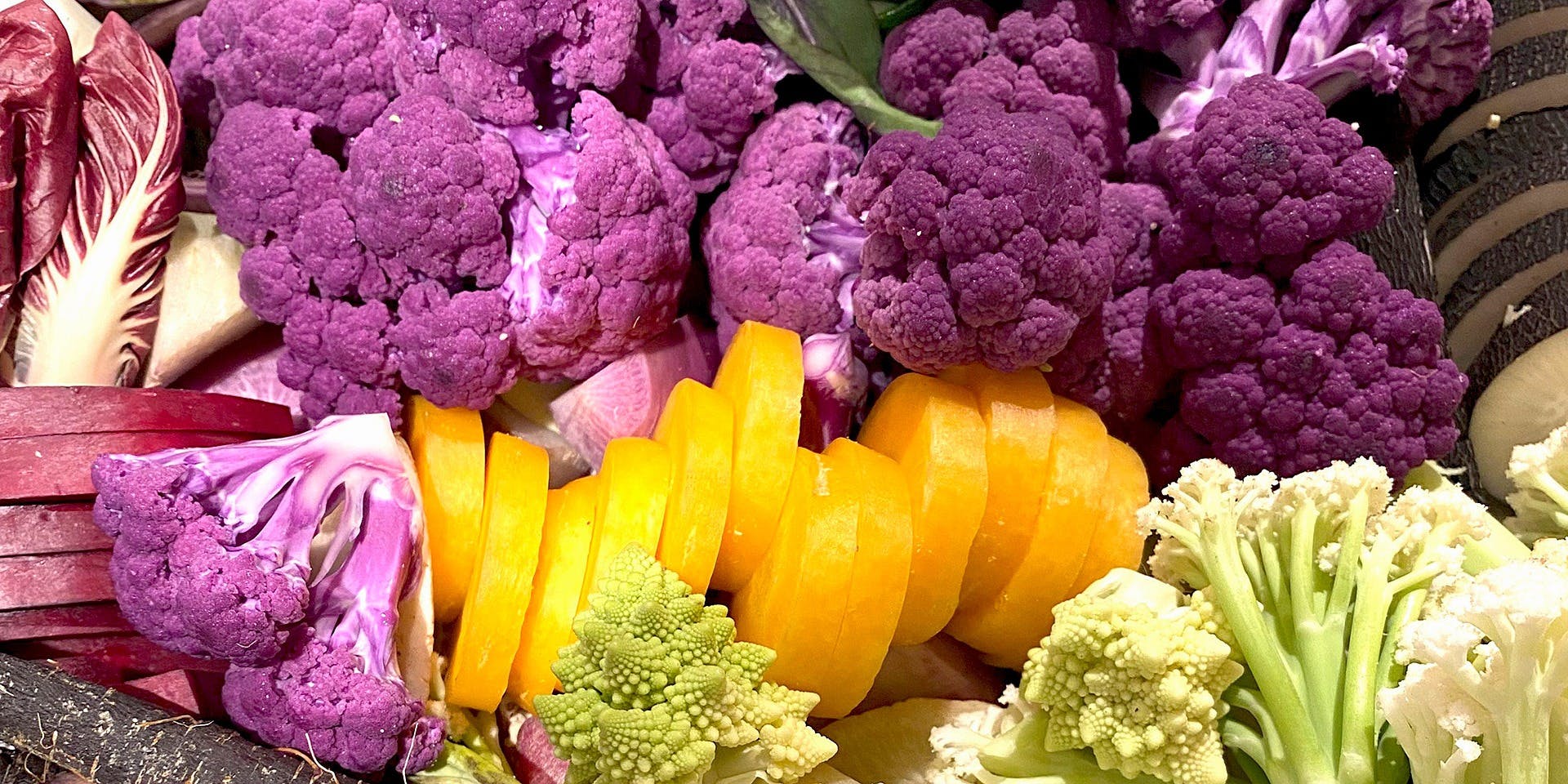 TRATTORIA FILARE（トラットリア フィラーレ）