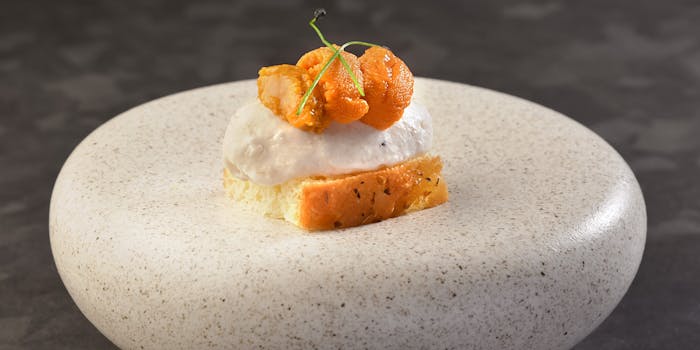 東京都渋谷区本町のディナーにフレンチが楽しめるおすすめレストラントップ1 一休 Comレストラン 東京都渋谷区本町のディナーにフレンチが楽しめるおすすめレストラントップ1 一休 Comレストラン