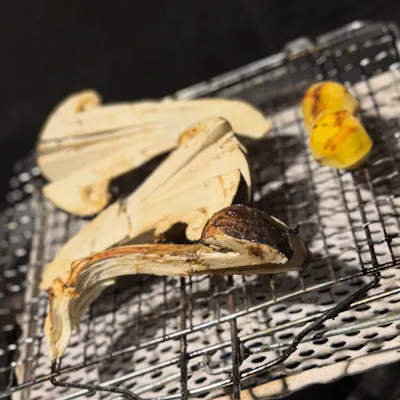 焼き松茸