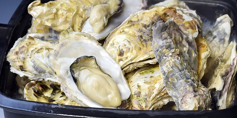 いけす無門 新宿（イケスムモン）