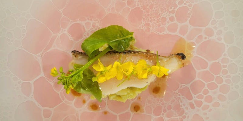 【ディナー cena Cコース】豪華食材を贅沢に使ったシェフ一押しのコース全8皿