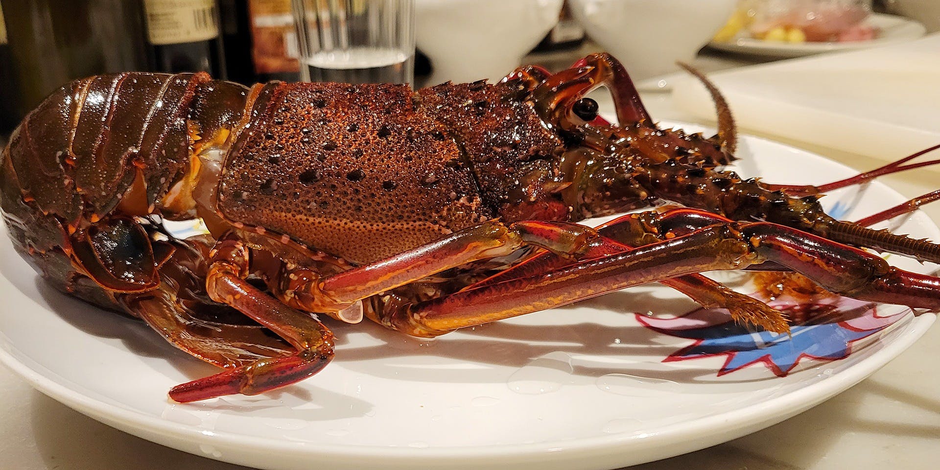 celeste チェレステ - 画像2