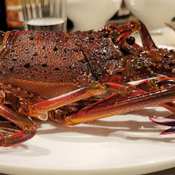 ランチ チェレステ 茅ケ崎 イタリア料理 ナチュラルワイン 一休 Comレストラン ランチ チェレステ 茅ケ崎 イタリア料理 ナチュラルワイン 一休 Comレストラン