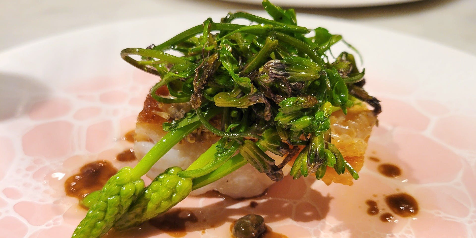 celeste（チェレステ）