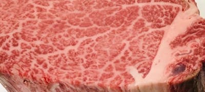 甲子園駅周辺の美味しいランチ30店 おしゃれ人気店 絶品ランチグルメ 21年 一休 Comレストラン 甲子園駅周辺の美味しいランチ30店 おしゃれ人気店 絶品ランチグルメ 21年 一休 Comレストラン