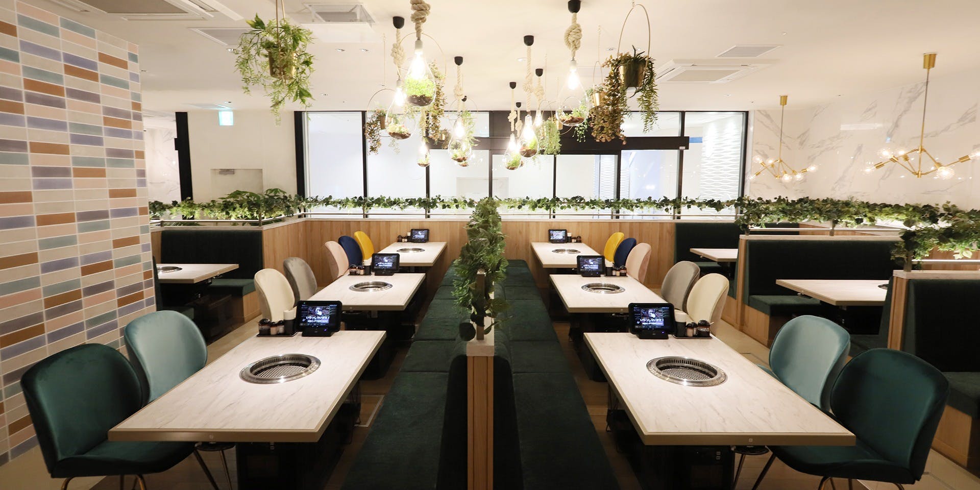 大船de焼肉DOURAKU - 画像2