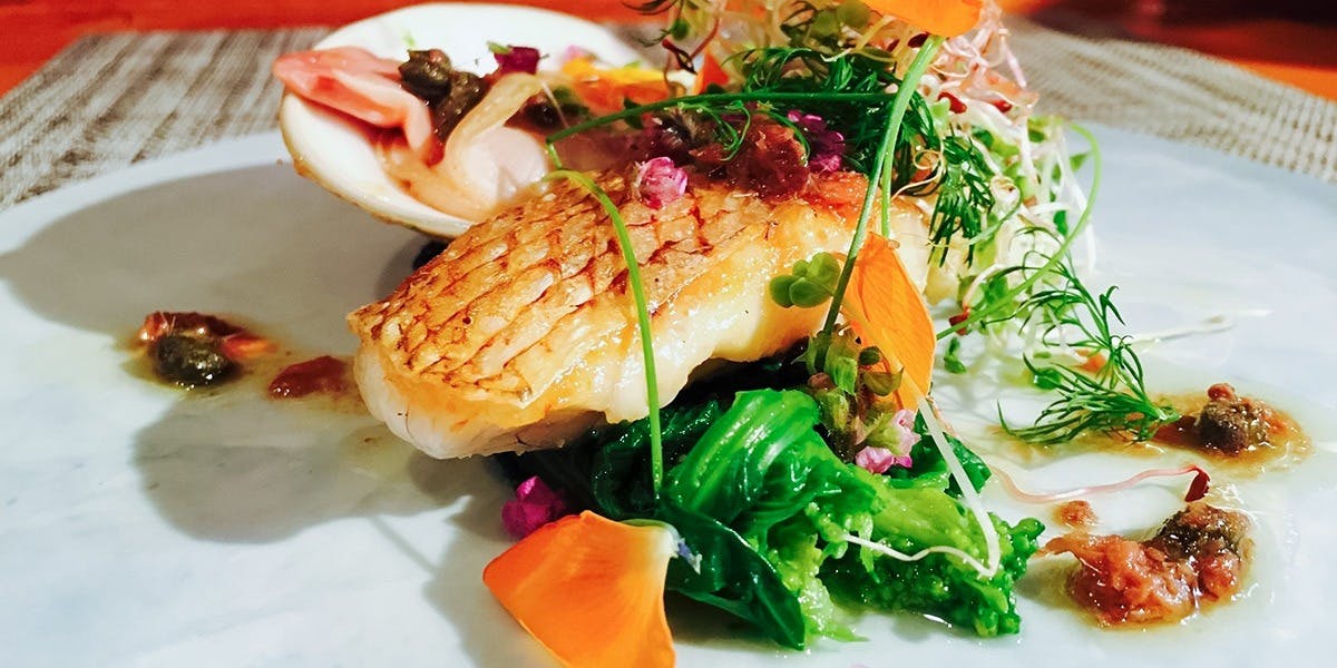 Ciero Azzurro - 画像3