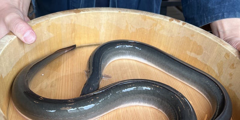 銀座 四代目 高橋屋 銀座店（TAKAHASHIYA）