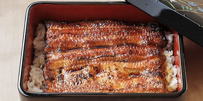 東京の夜景が綺麗にディナーでうなぎが楽しめるおすすめレストラントップ4 一休 Comレストラン 東京の夜景が綺麗にディナーでうなぎが楽しめるおすすめレストラントップ4 一休 Comレストラン