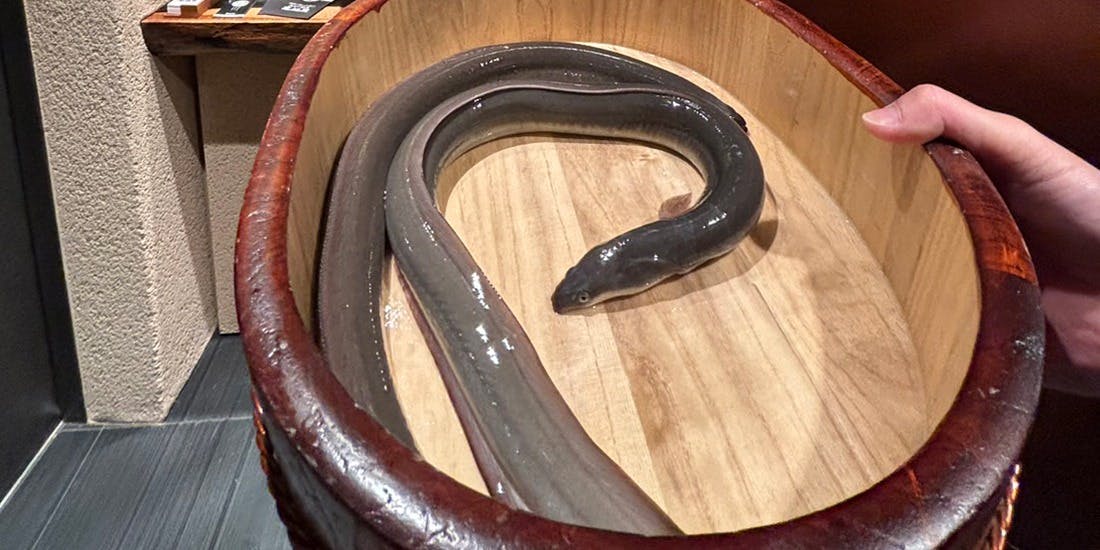 銀座 四代目 高橋屋 銀座店（TAKAHASHIYA）