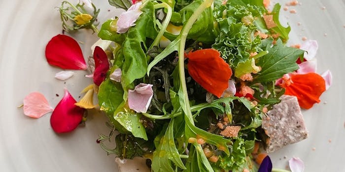 東京都立川市曙町のランチにフレンチが楽しめるおすすめレストラントップ1 一休 Comレストラン 東京都立川市曙町のランチにフレンチが楽しめるおすすめレストラントップ1 一休 Comレストラン