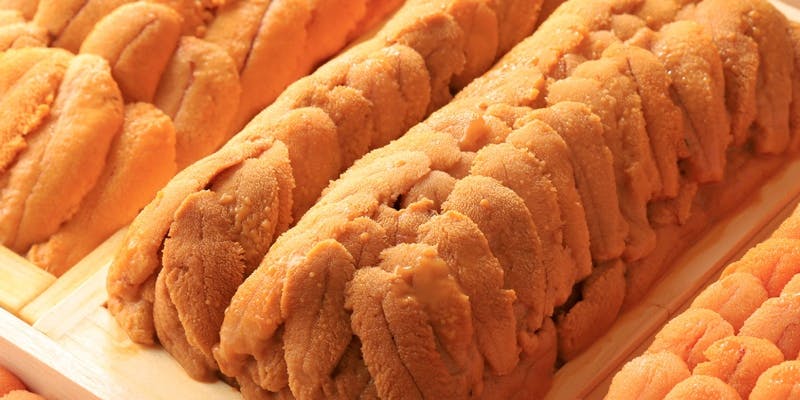 鮨【極味】KIWAMI　コース