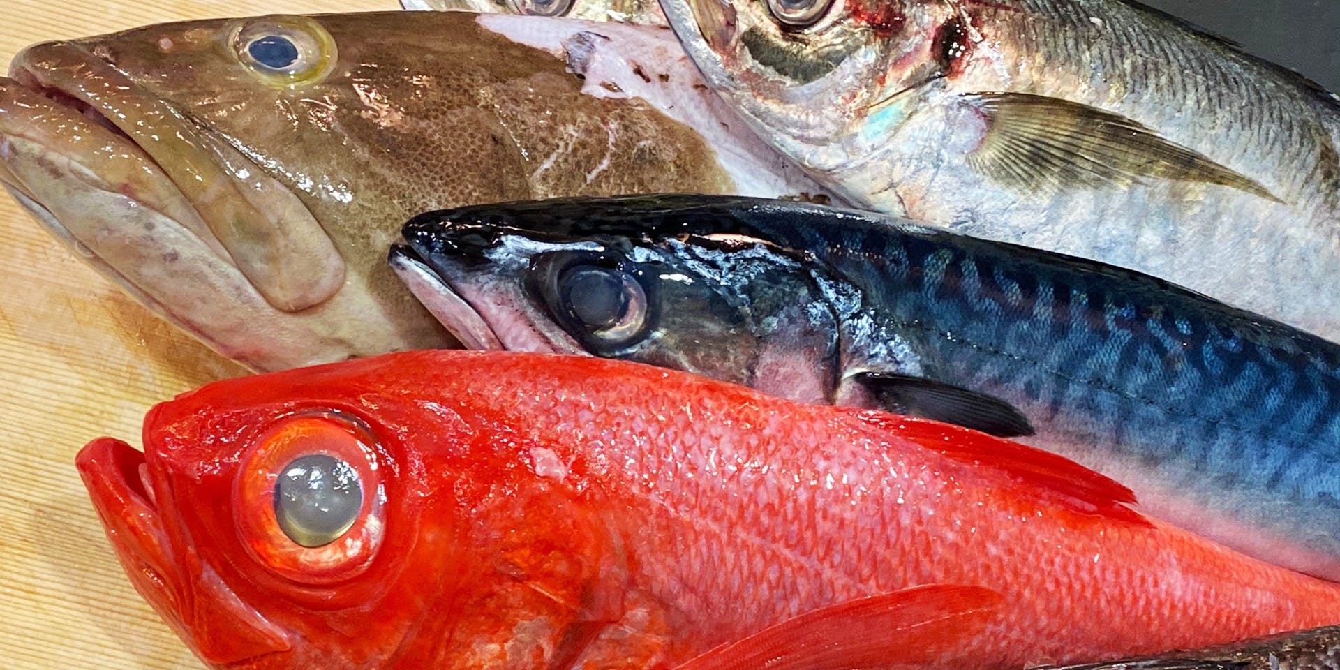 くずし寿司割烹 海月 - 画像8