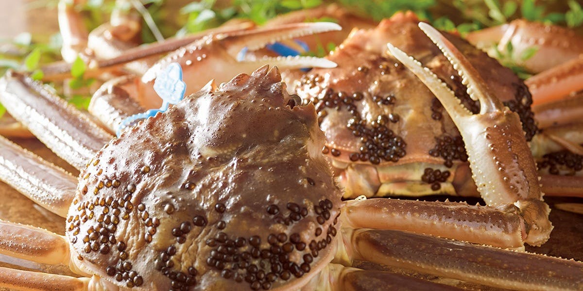 かに道楽 北新地店