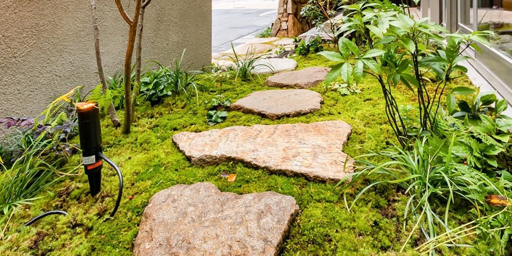 近江牛焼肉 百々一（どどいつ）