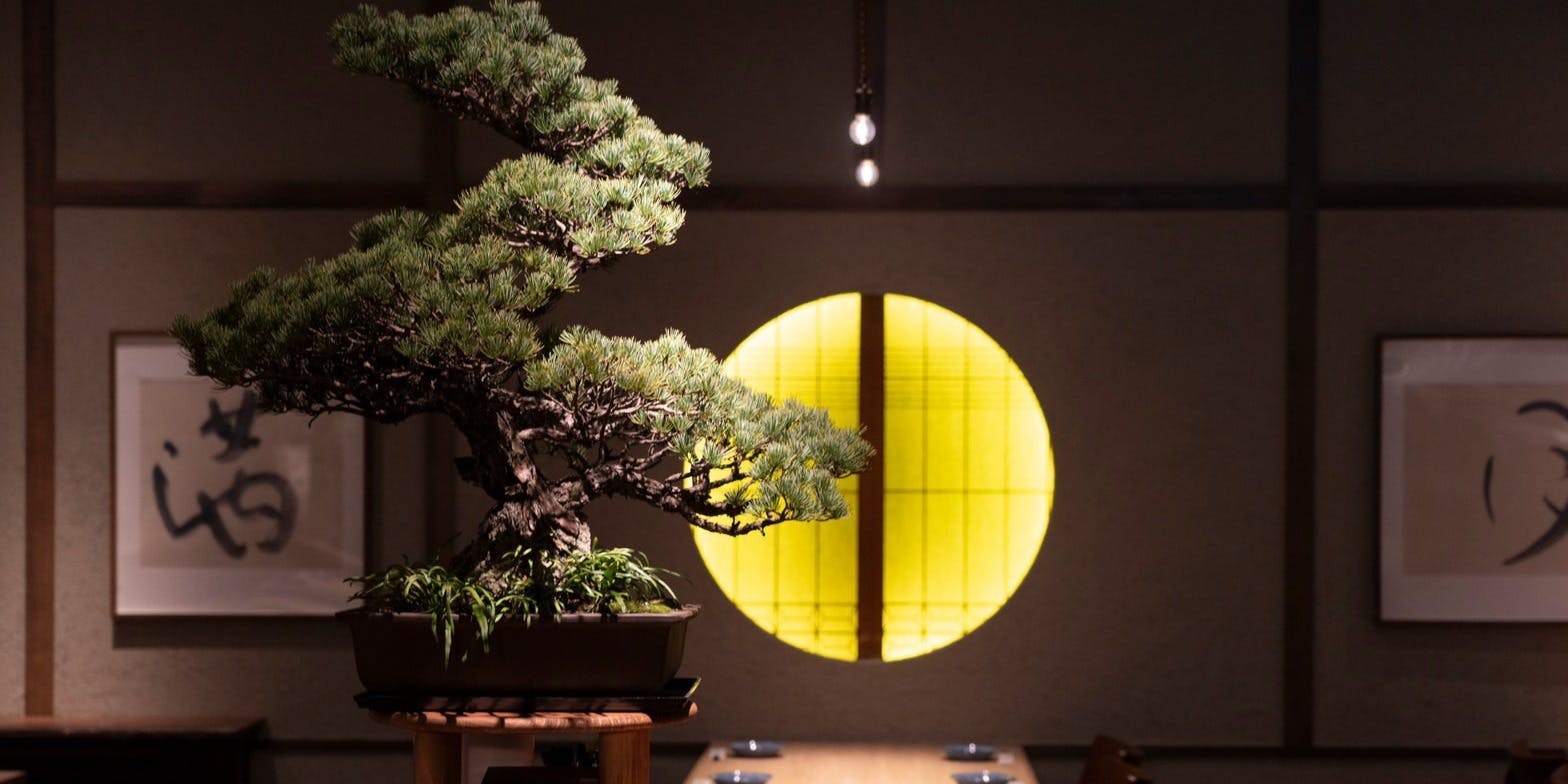 由乃 別邸 栄住吉店（【旧店名】月邸ト蕎麦 SUKIYUNO） 2枚目