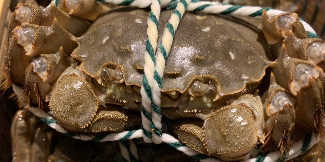 ル シノワ サノ ナゴヤ - 画像9