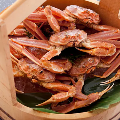 新鮮な北海産のずわいがに