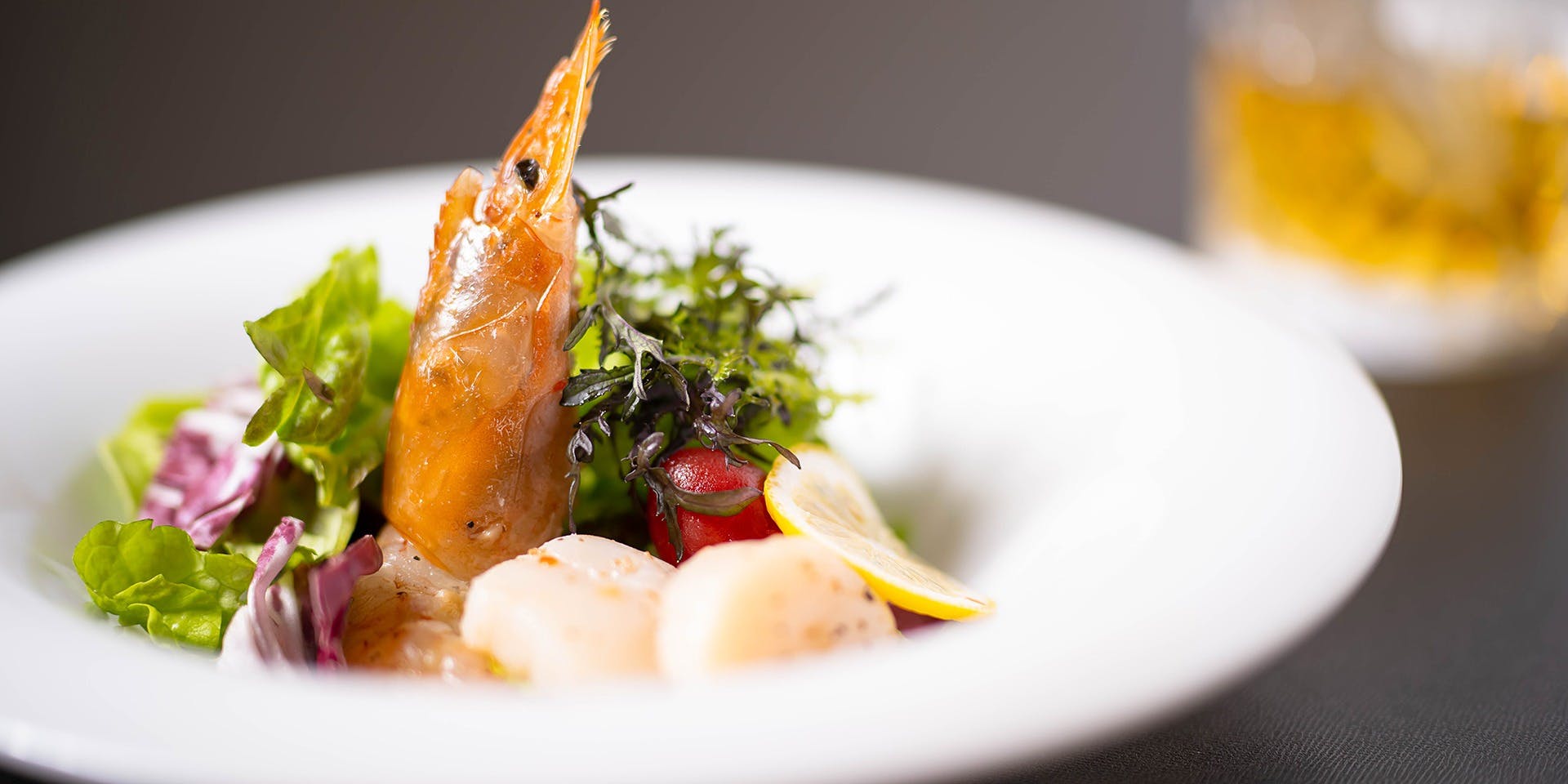 tredi（トレディ）